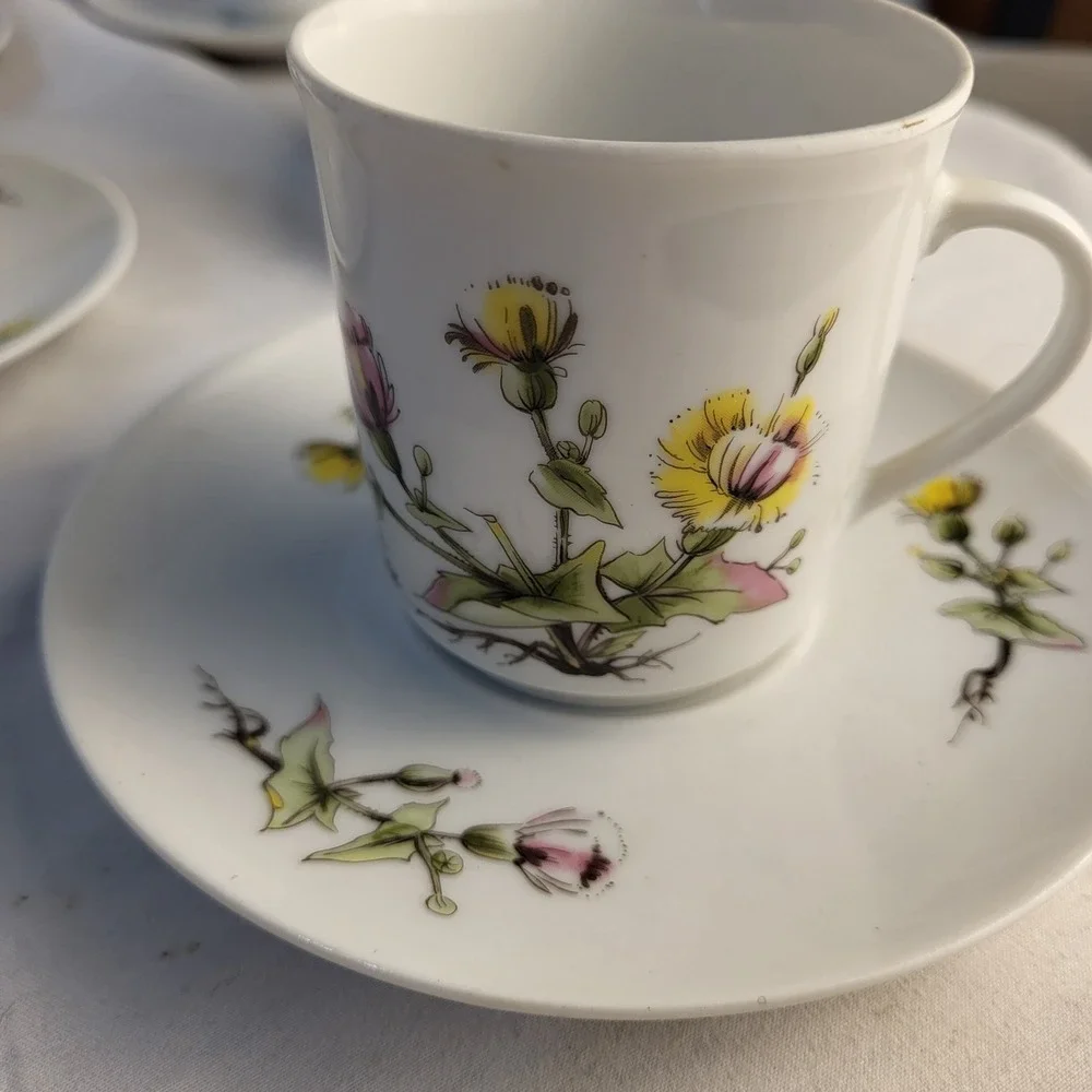 5 Winterling Porcelain Demitasse Cups and Saucers Knapweed Special Edition Mobil